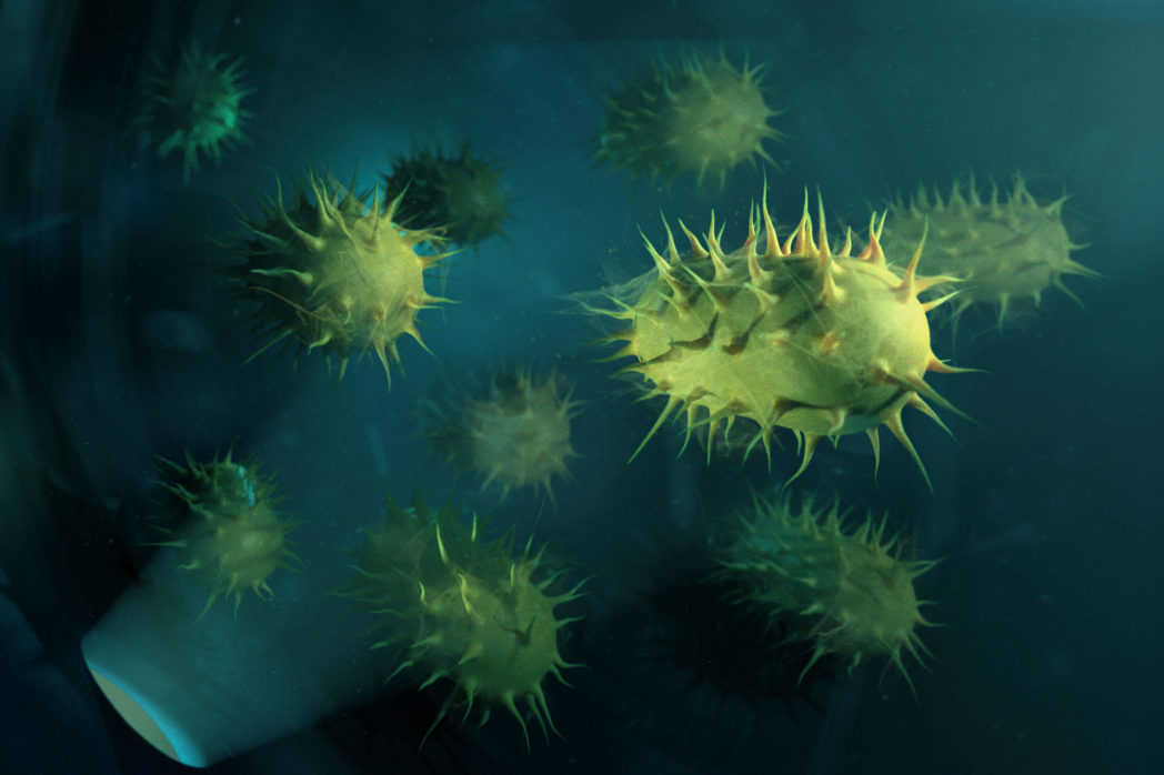 Бактерии для септиков: характеристики и функции картинка